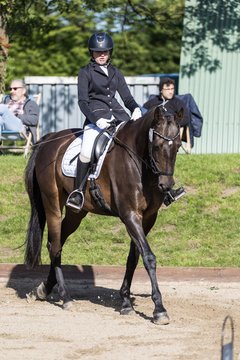 Bild 220 - Pony Akademie Turnier